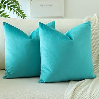 [NH-008] Cojín decorativo de terciopelo