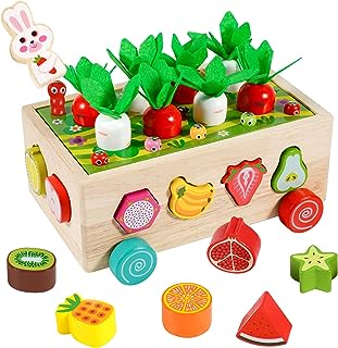 [NH-015] Kit de juguetes didácticos de madera